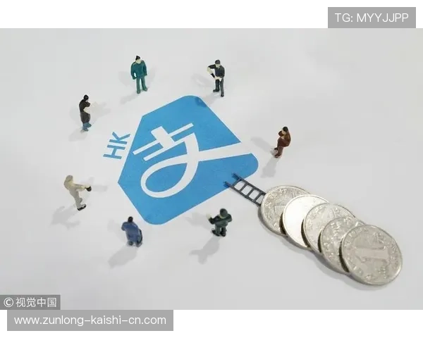 尊龙官网平台支付方式详解，便捷安全的支付渠道保障您的资金流动