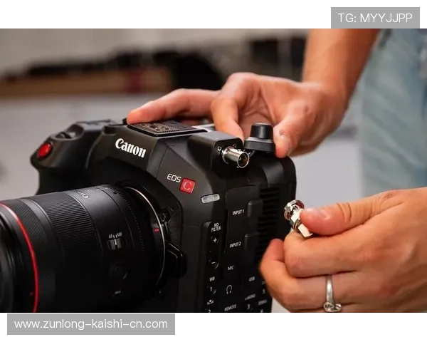 揭秘尊龙z6.com会员的独特之处，助你畅快无阻游戏