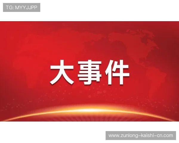 深度剖析尊龙Z6中国区的新版官网，助您轻松获取重要的商业信息