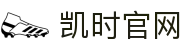 凯时官网-中国尊龙凯时与尊龙z6登录入口